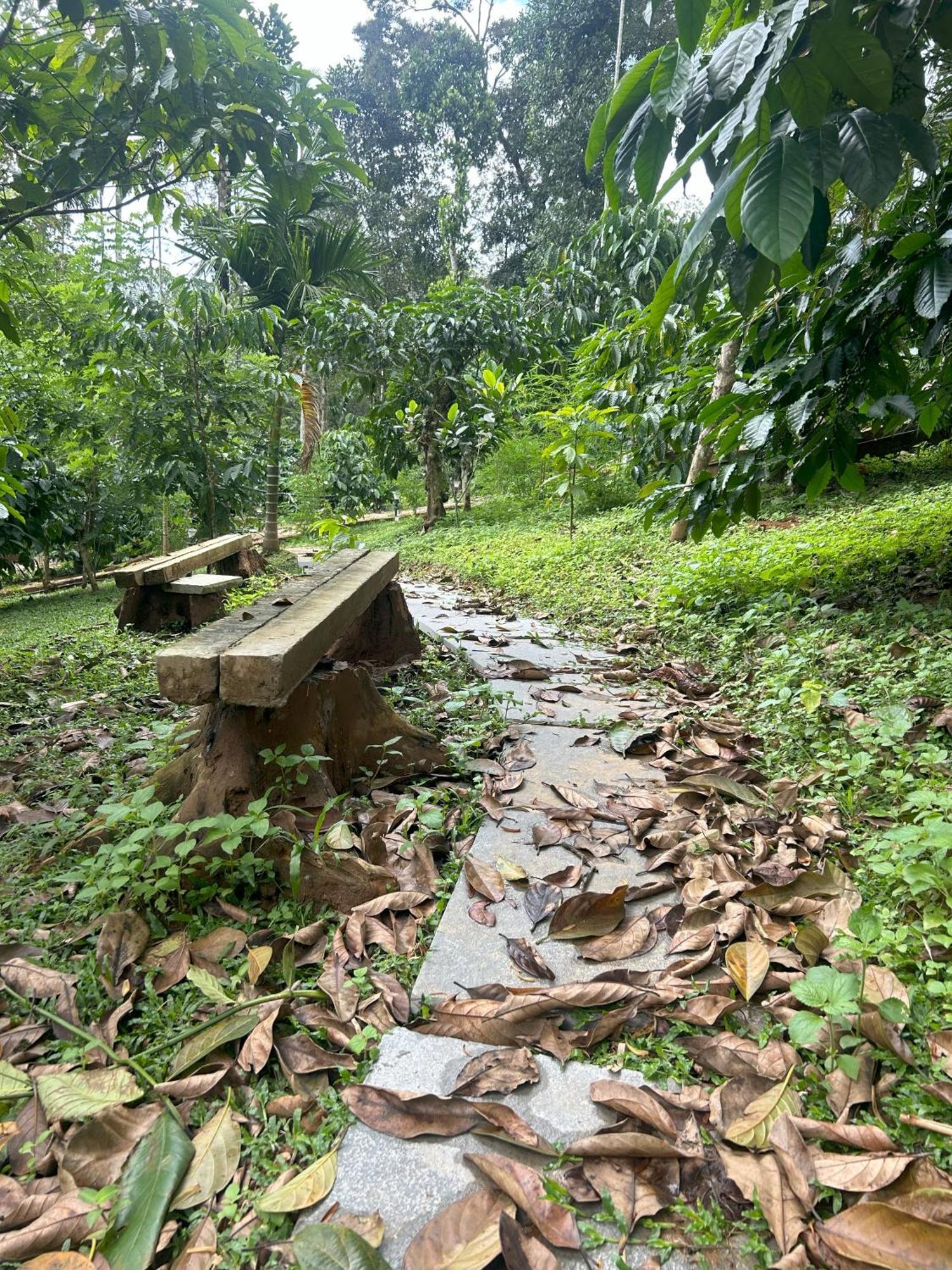 Sylvan Resort Wayanad Zewnętrze zdjęcie