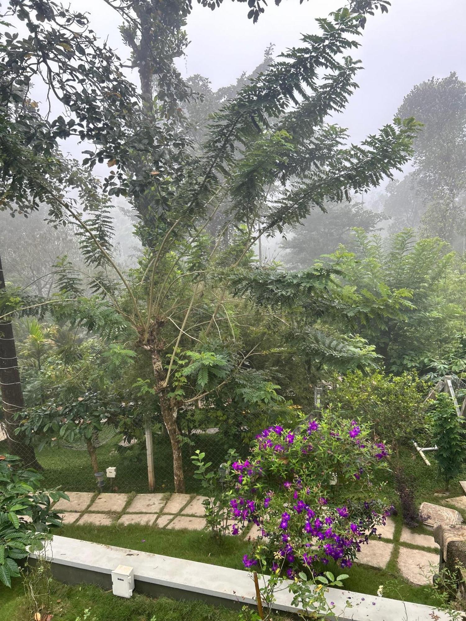 Sylvan Resort Wayanad Zewnętrze zdjęcie