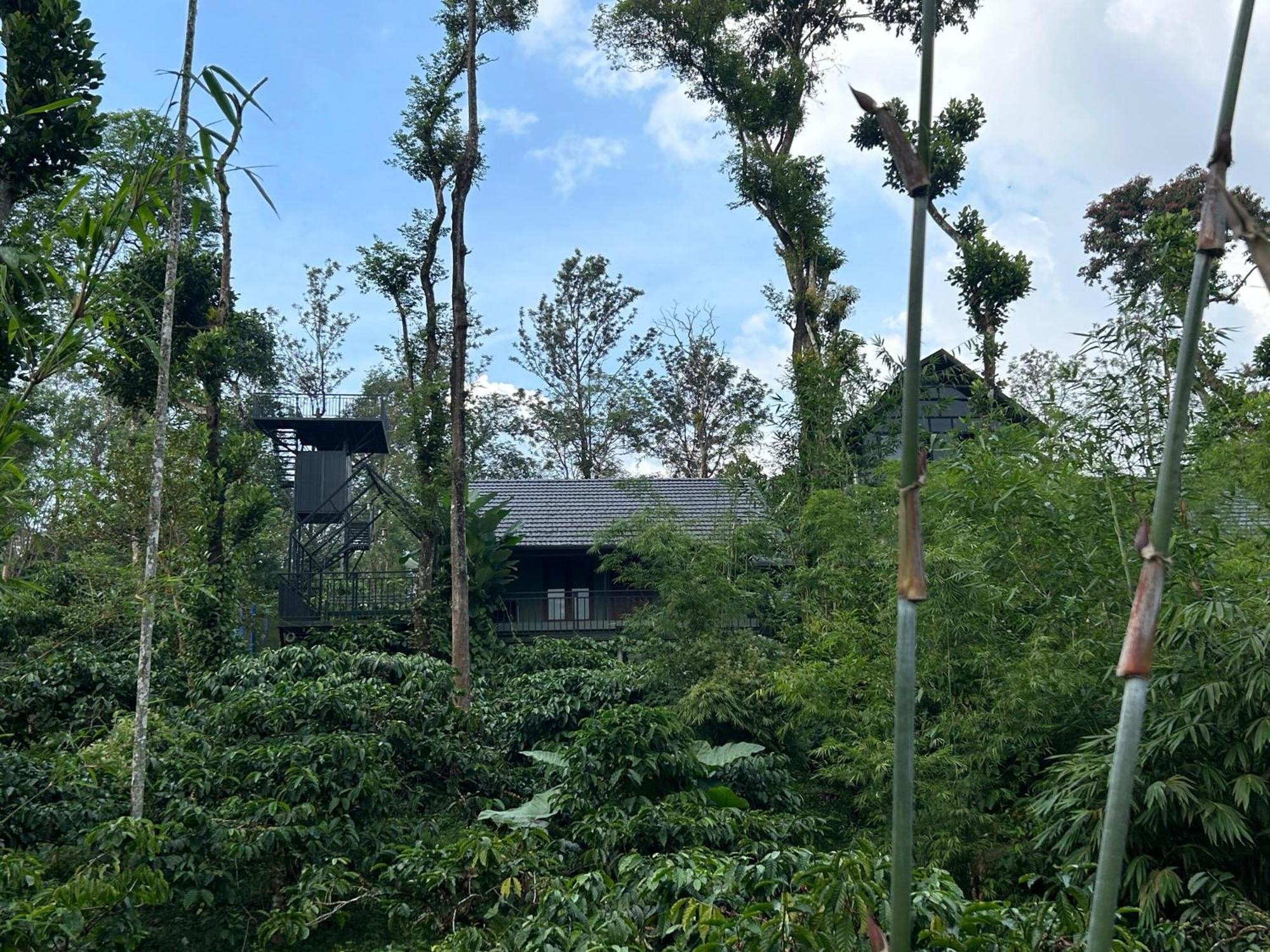 Sylvan Resort Wayanad Zewnętrze zdjęcie