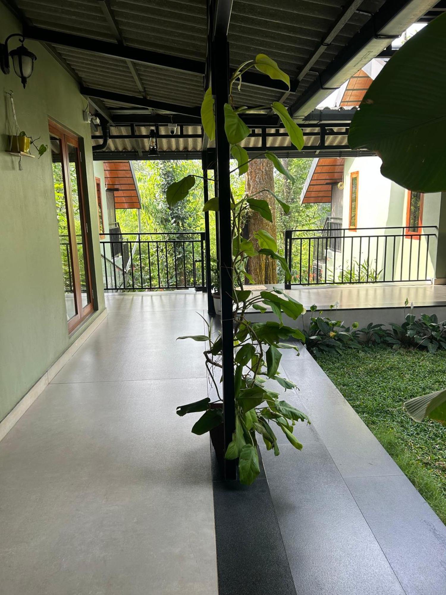 Sylvan Resort Wayanad Zewnętrze zdjęcie